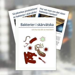 Ladda-ner-ebok-om-bakterier-SE.jpg
